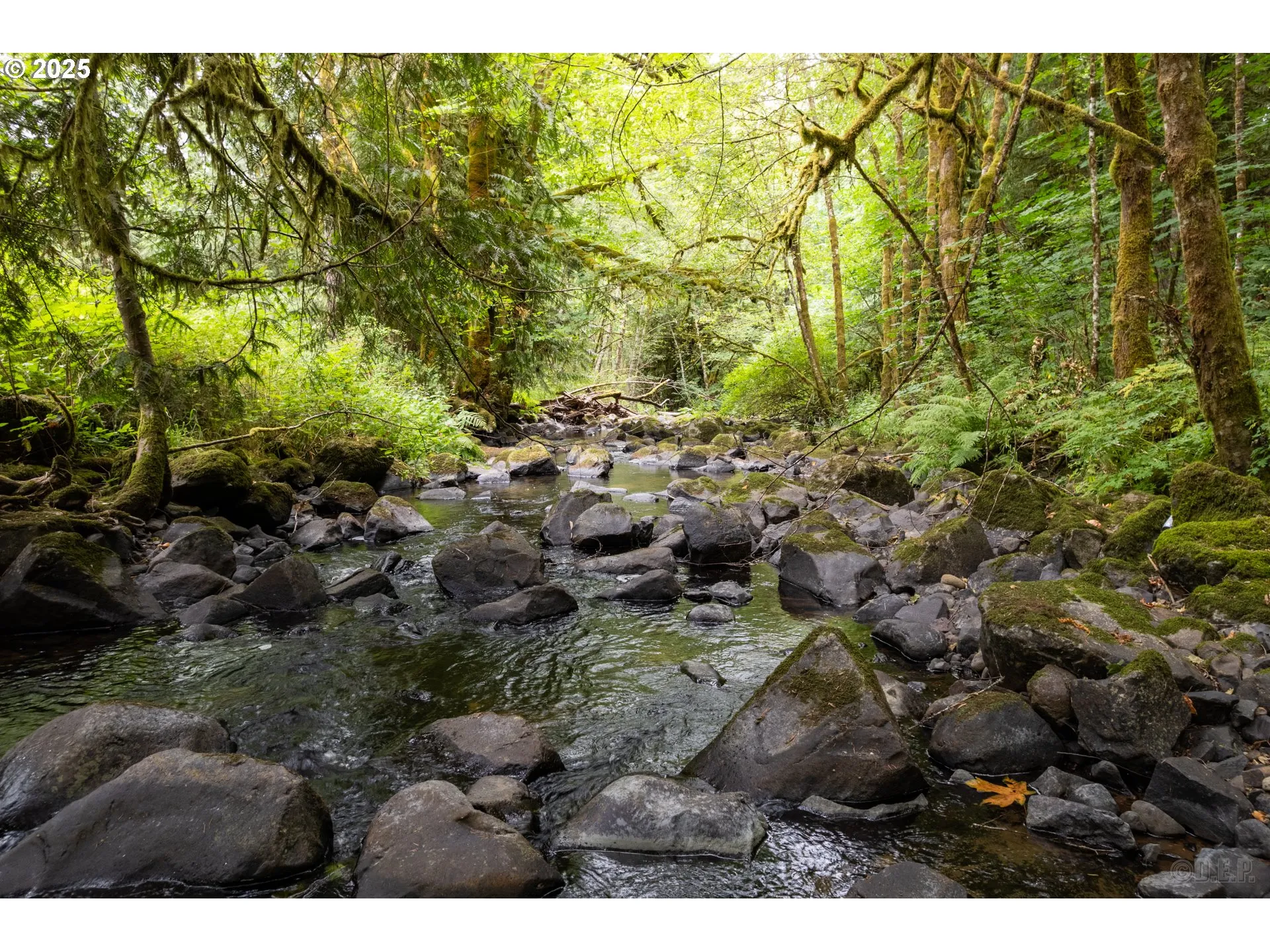 Creek