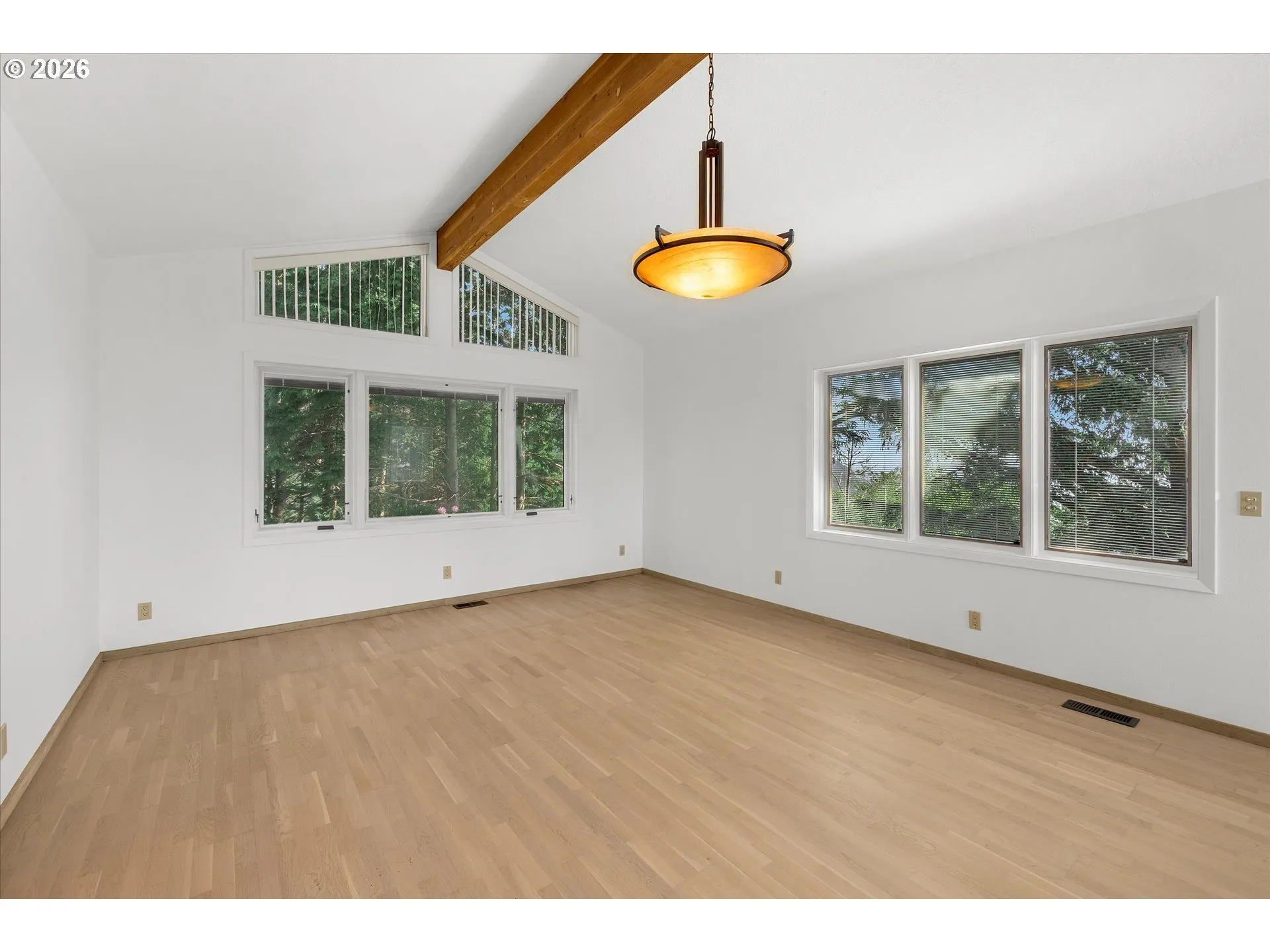 Living Room-Vaulted Ceilings