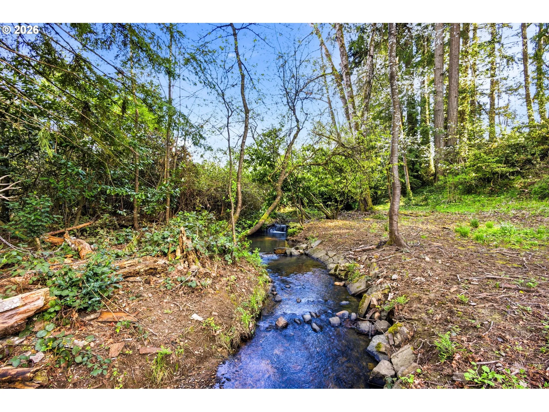 Creek-Year Round