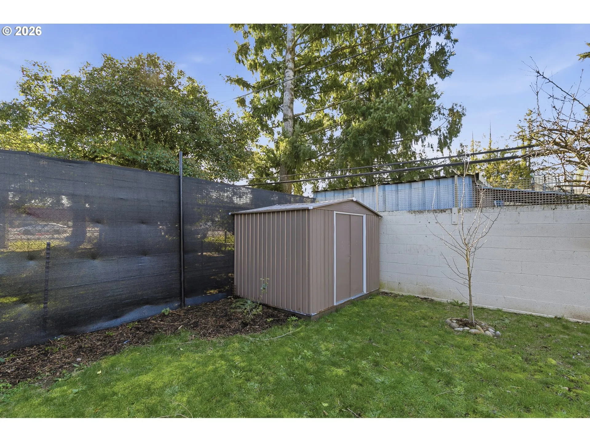 Backyard-Fenced