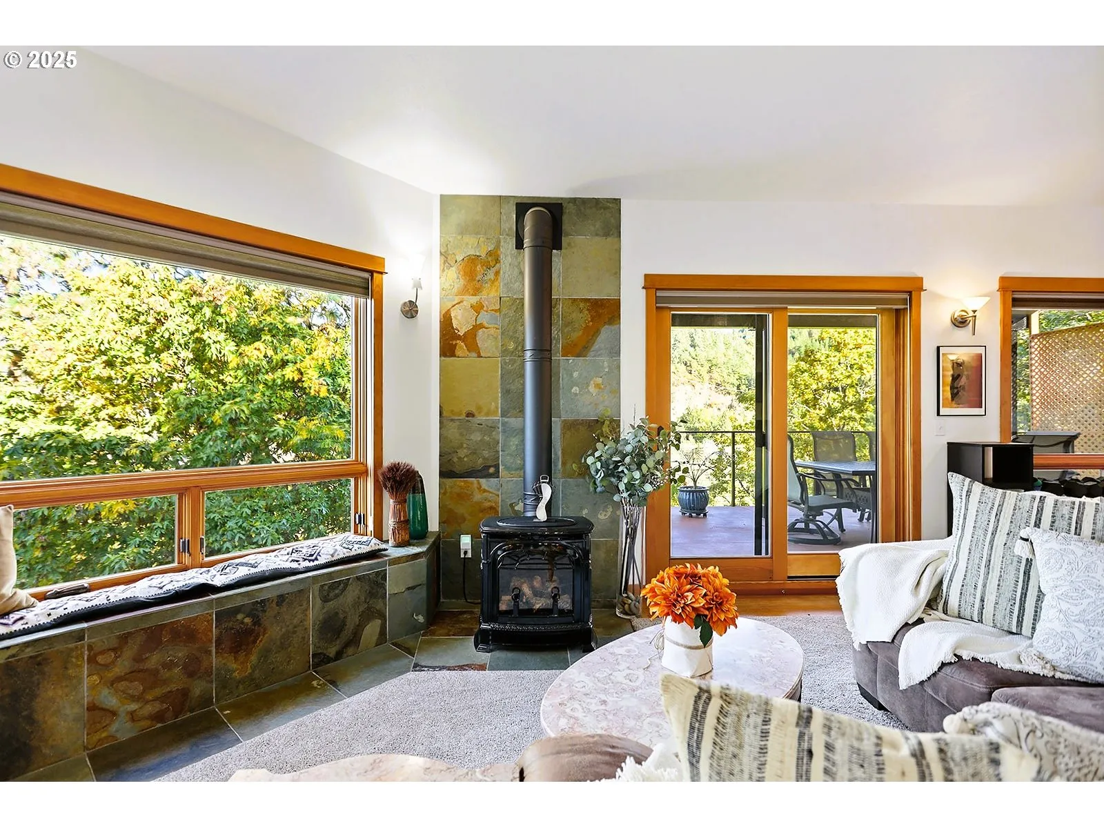 Fireplace Gas Burning Stove/Insert