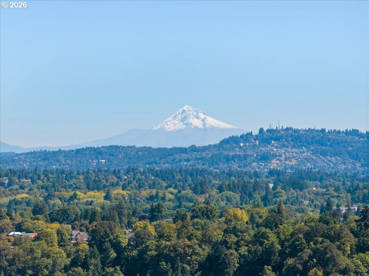 View-Mountain