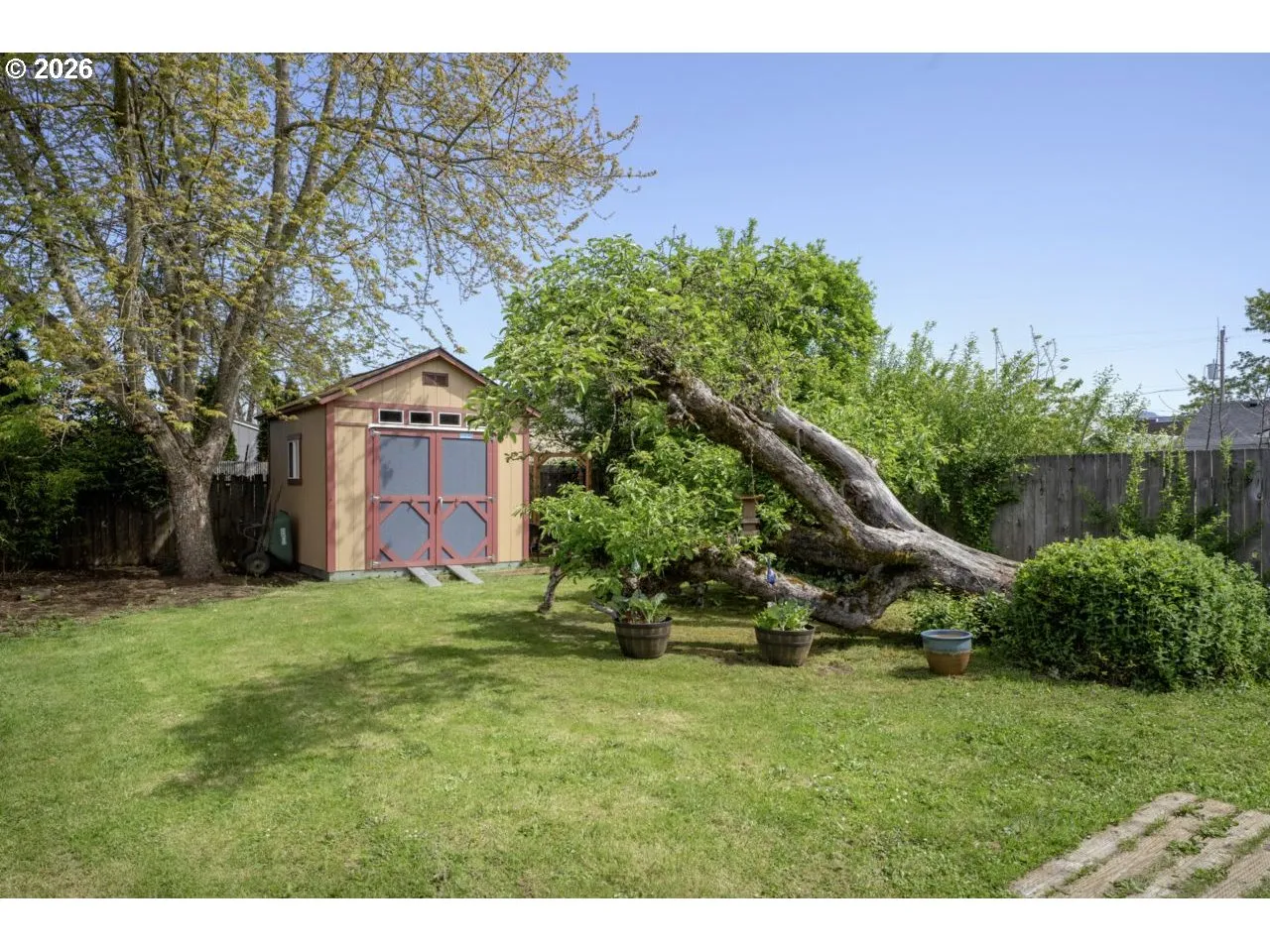 Backyard