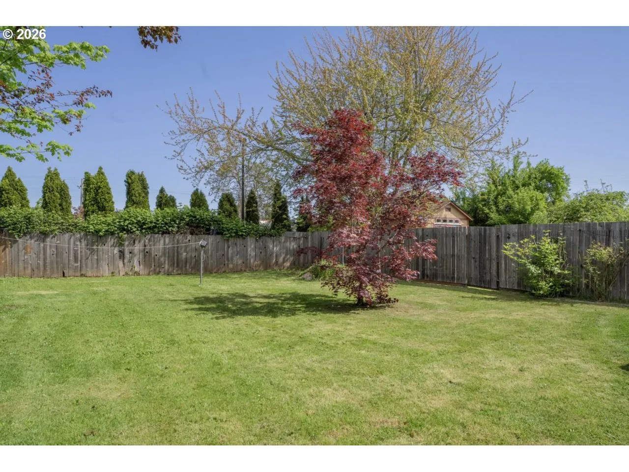 Backyard-# 2