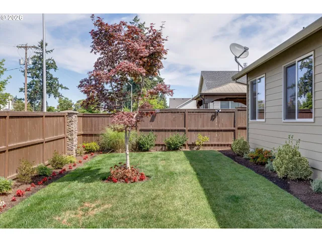 Backyard-Fenced
