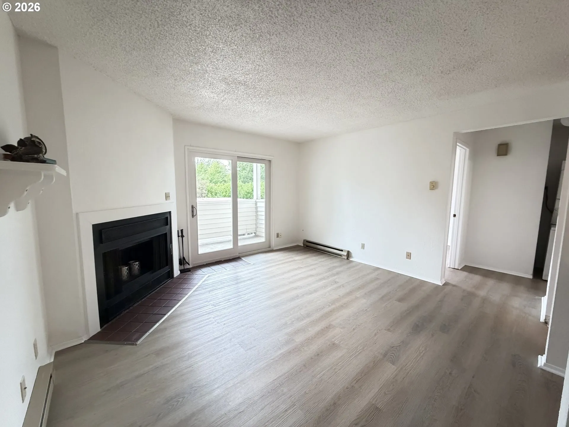 Living Room-Fireplace
