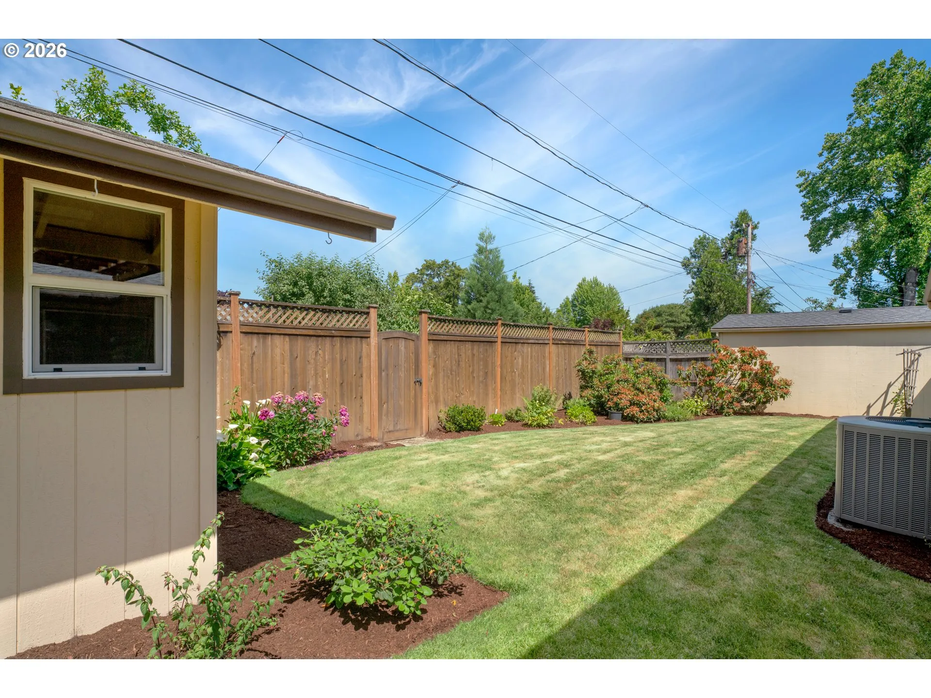 Backyard-Fenced