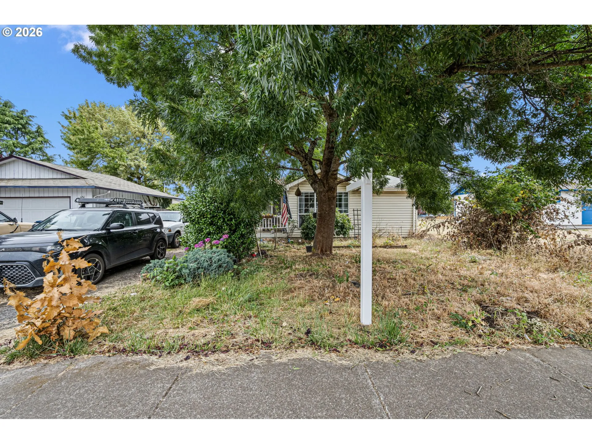 Front Yard