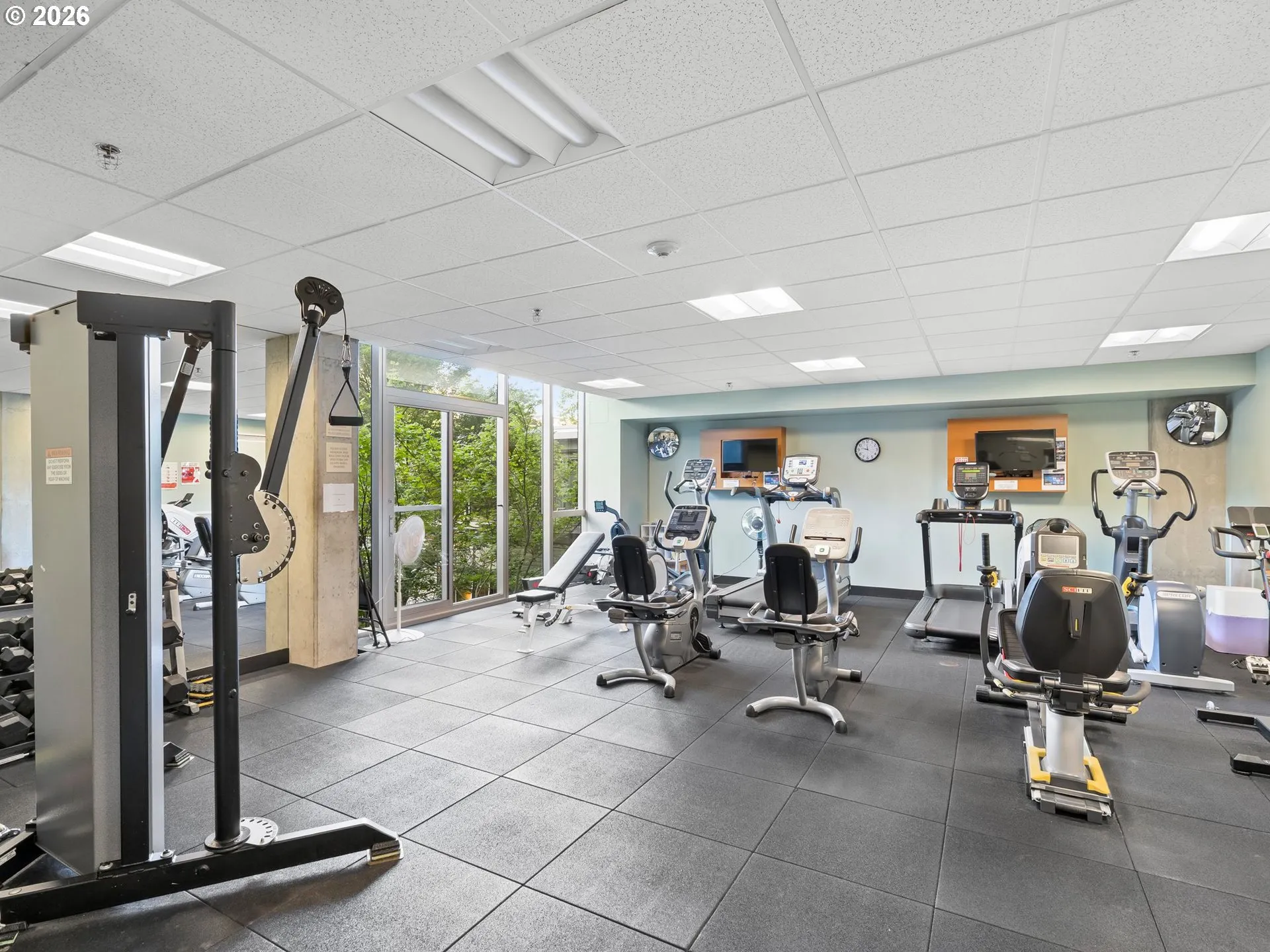 Gym