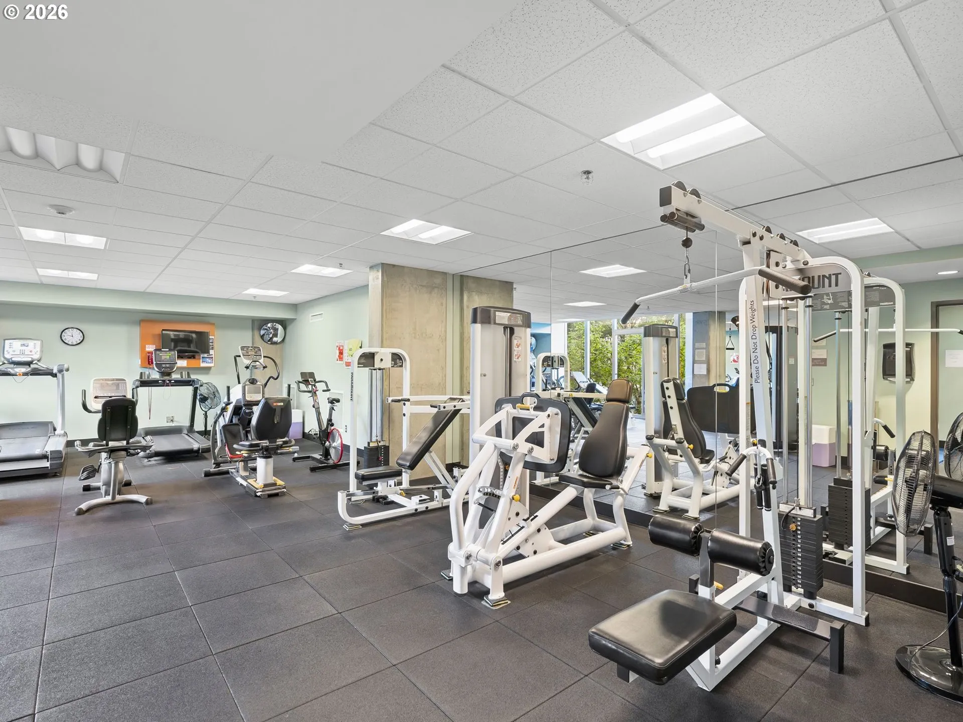 Gym