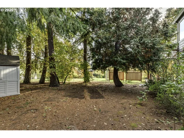 Backyard-View From