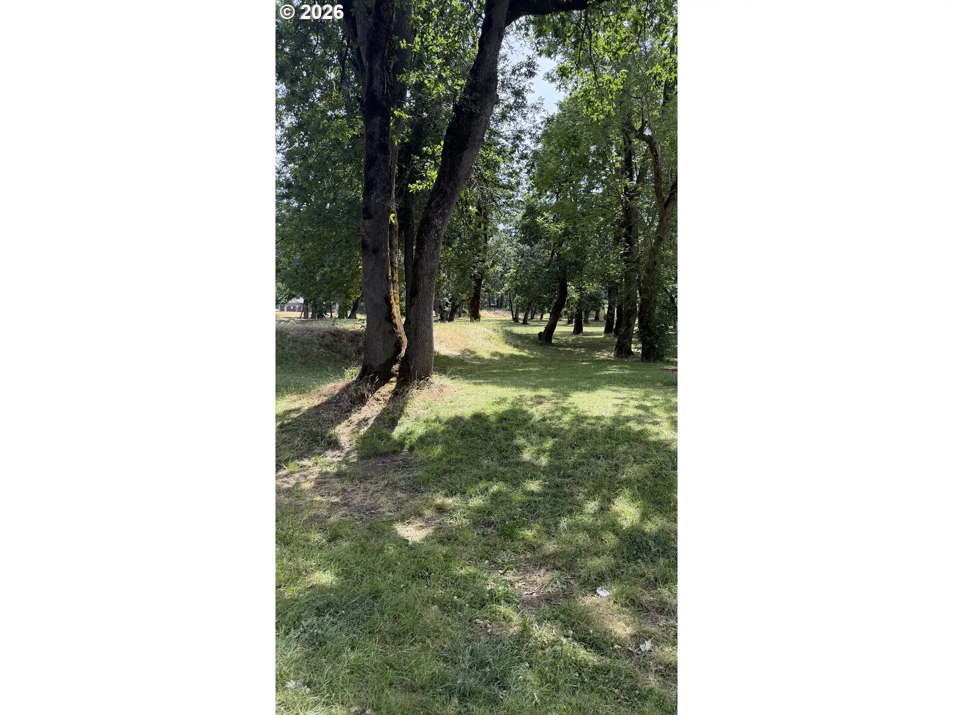 Community Park