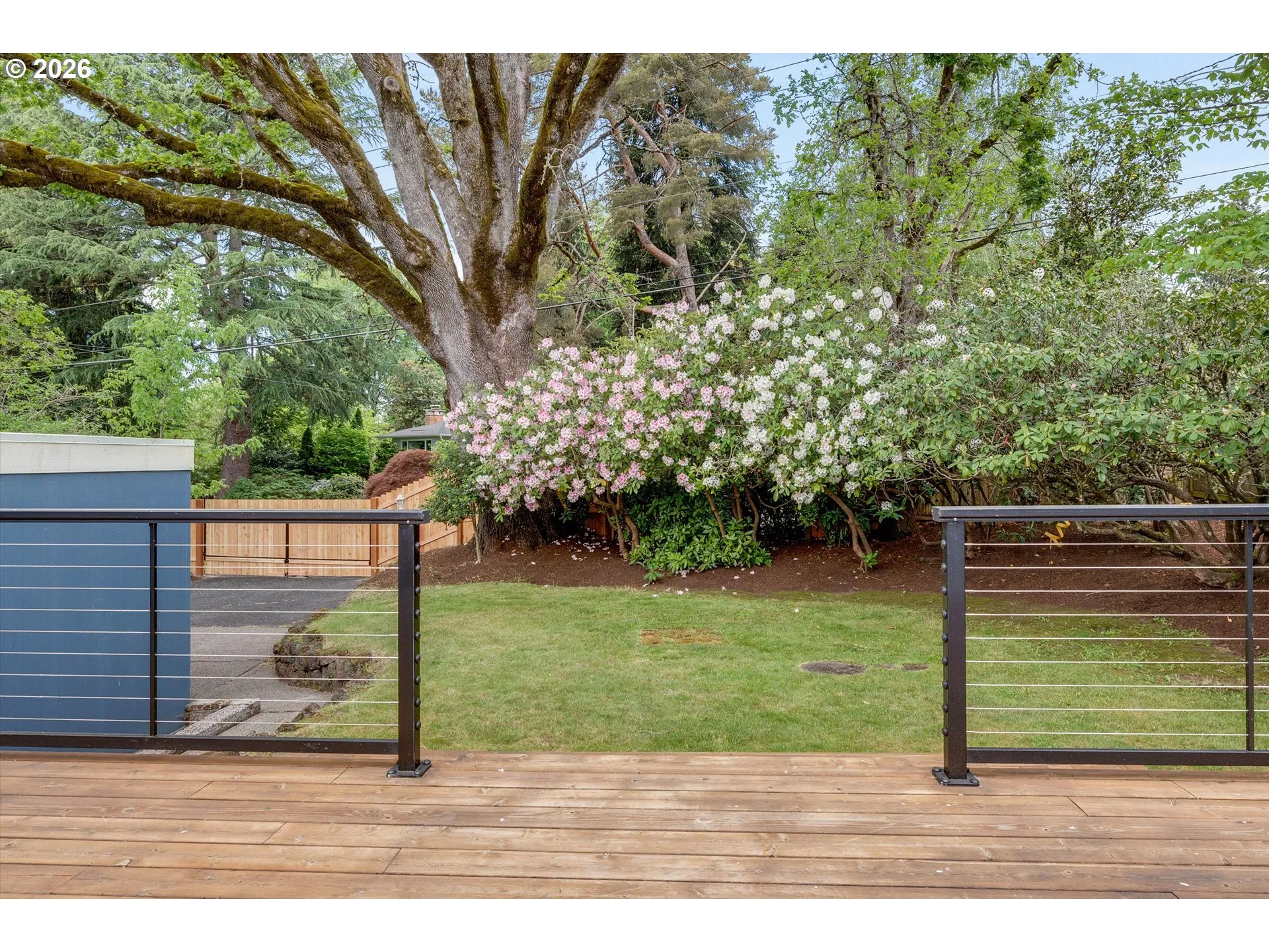 Backyard-Fenced