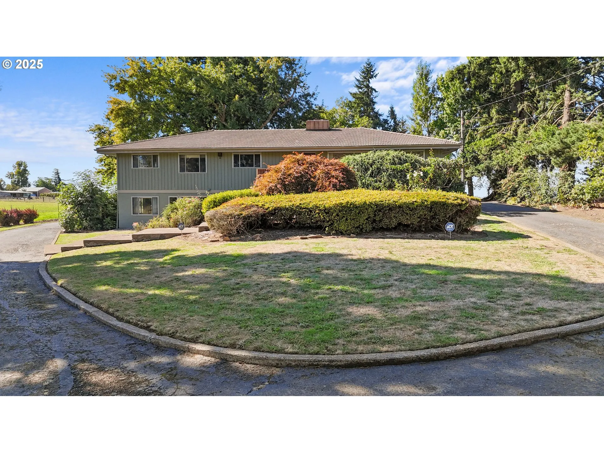 Yard-Landscaped