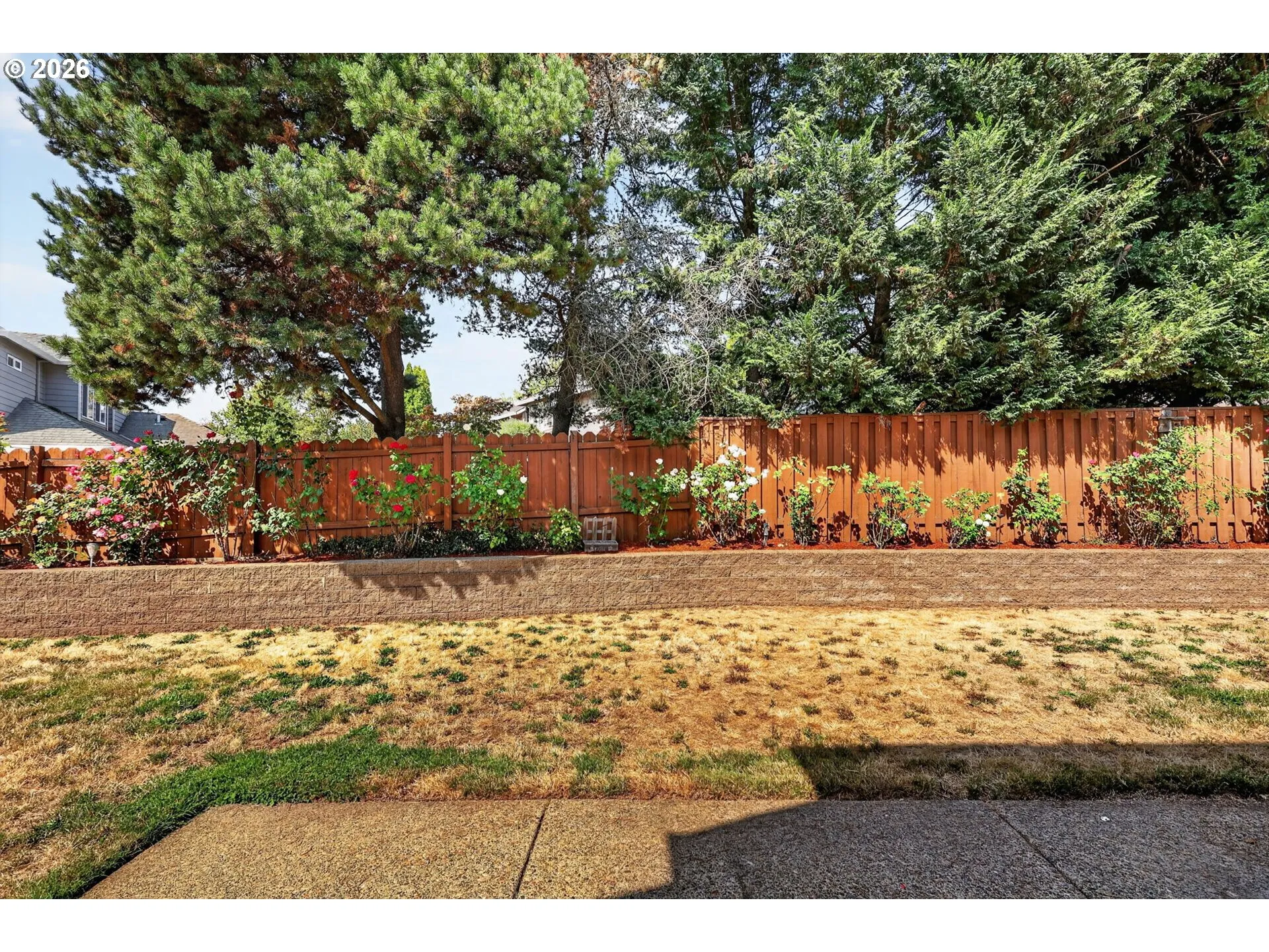 Backyard-Fenced