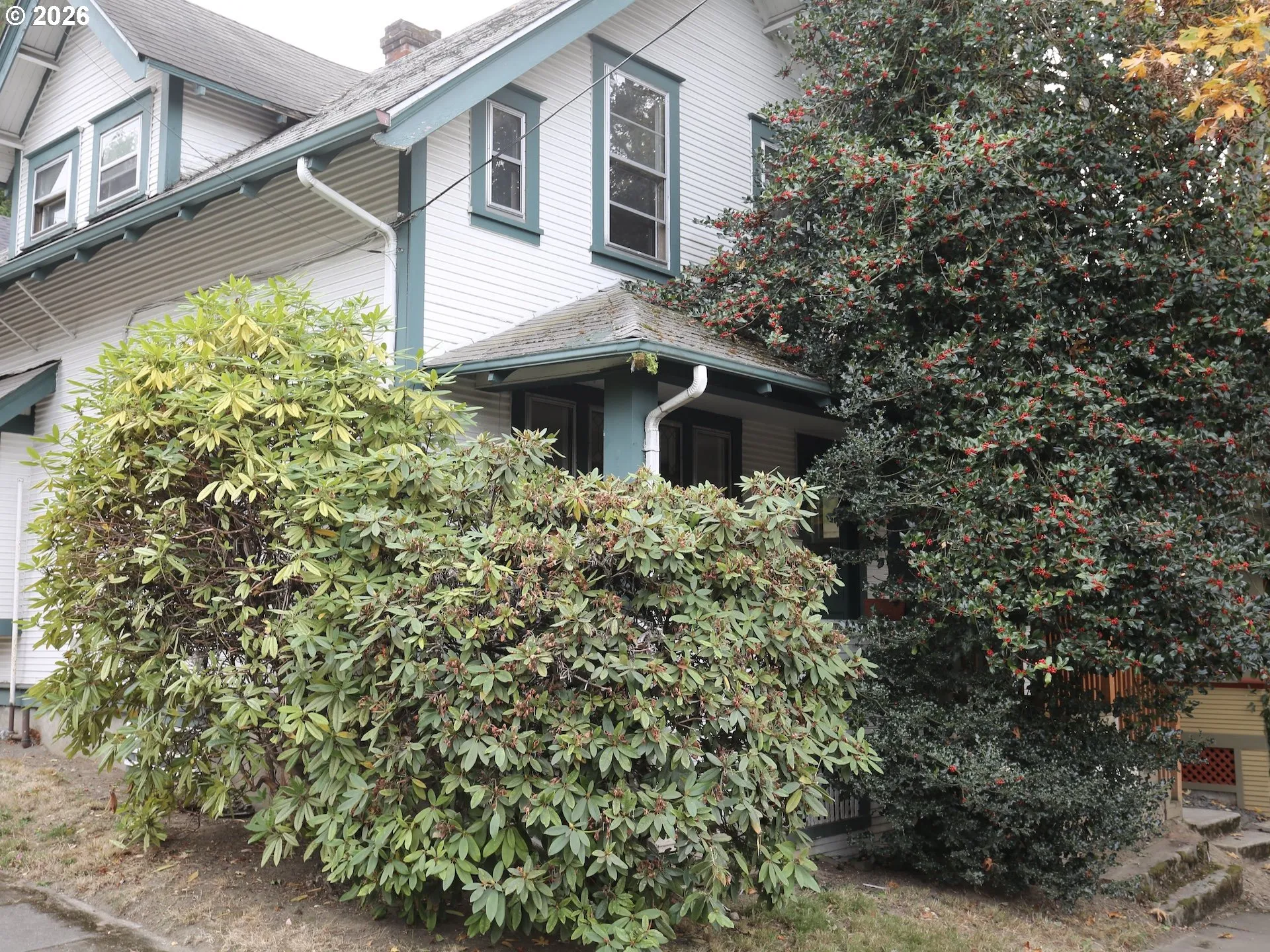 Front Yard