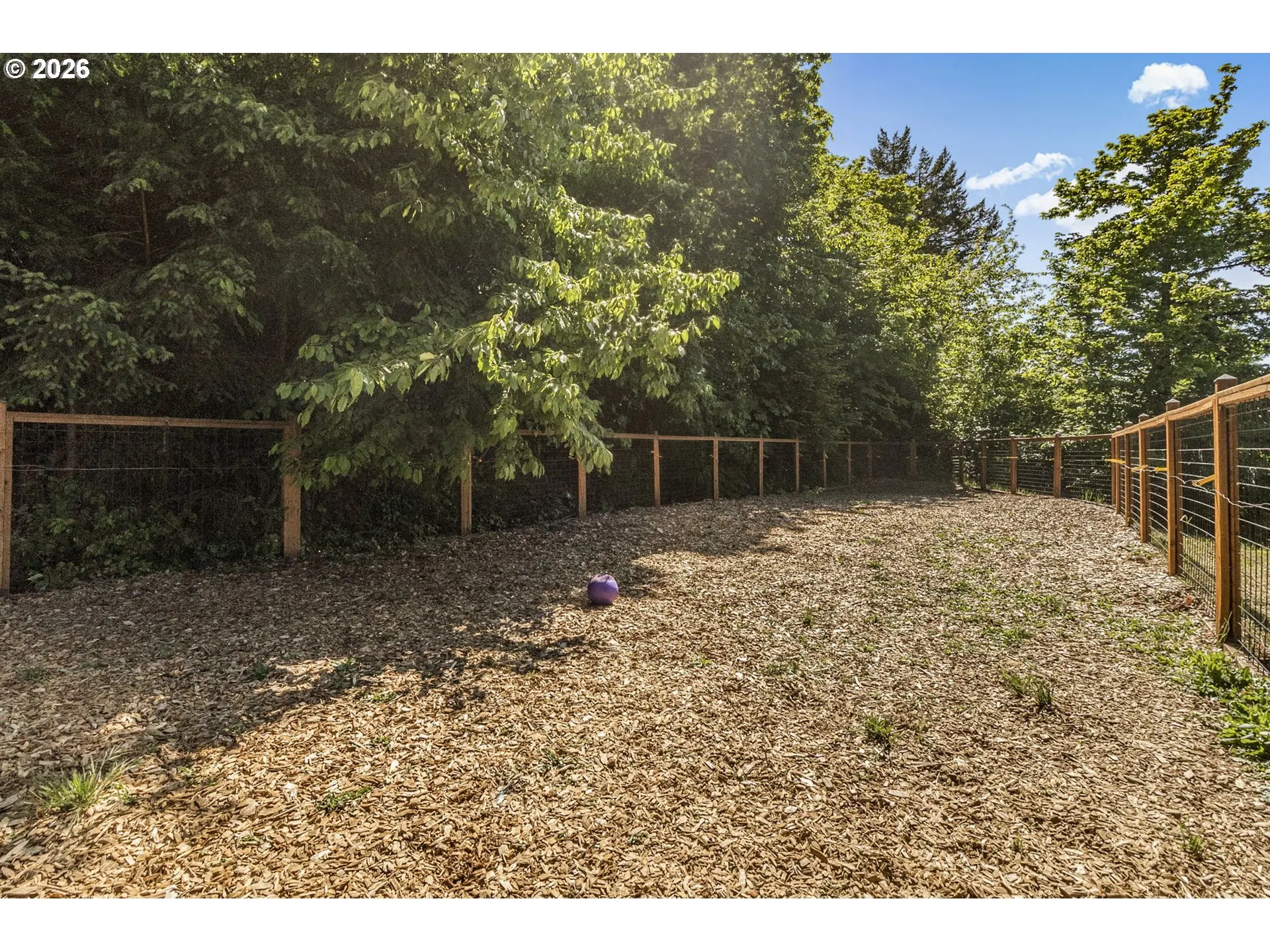 Dog Run