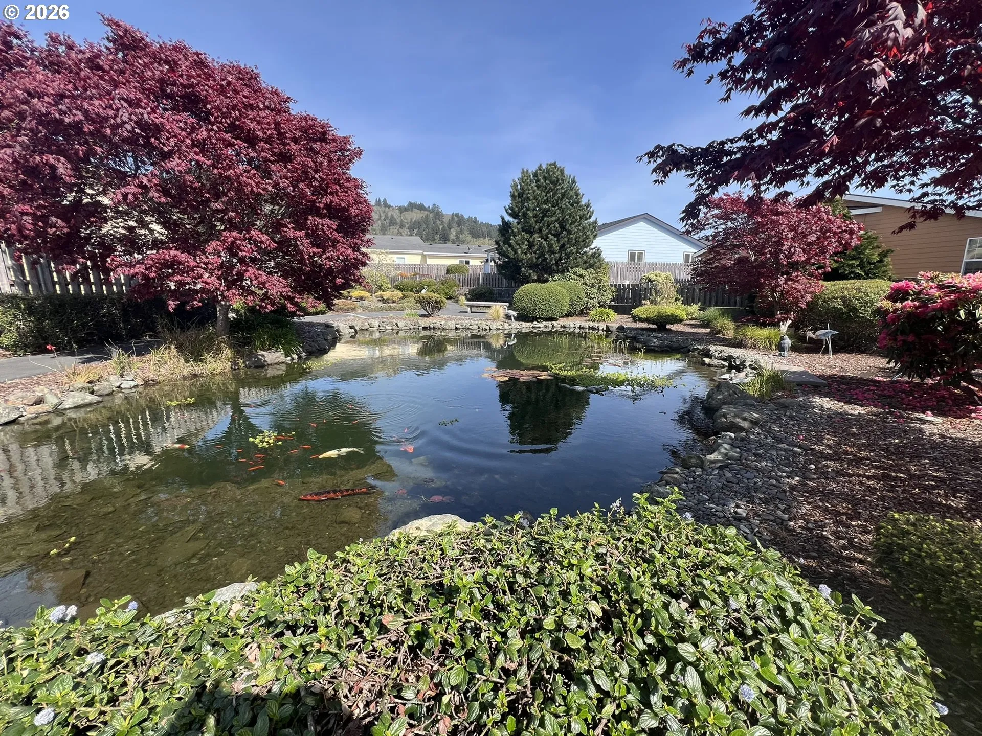 Water Garden