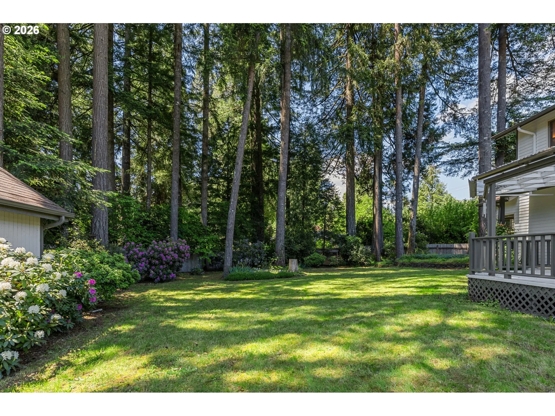 Backyard-Fenced