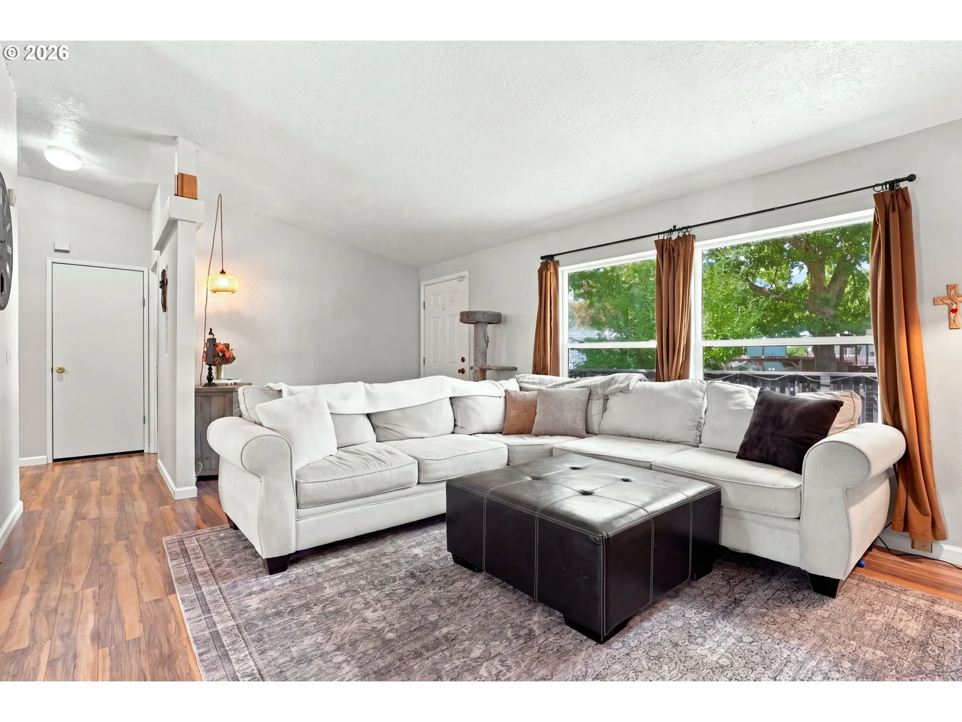 Living Room/Entrance