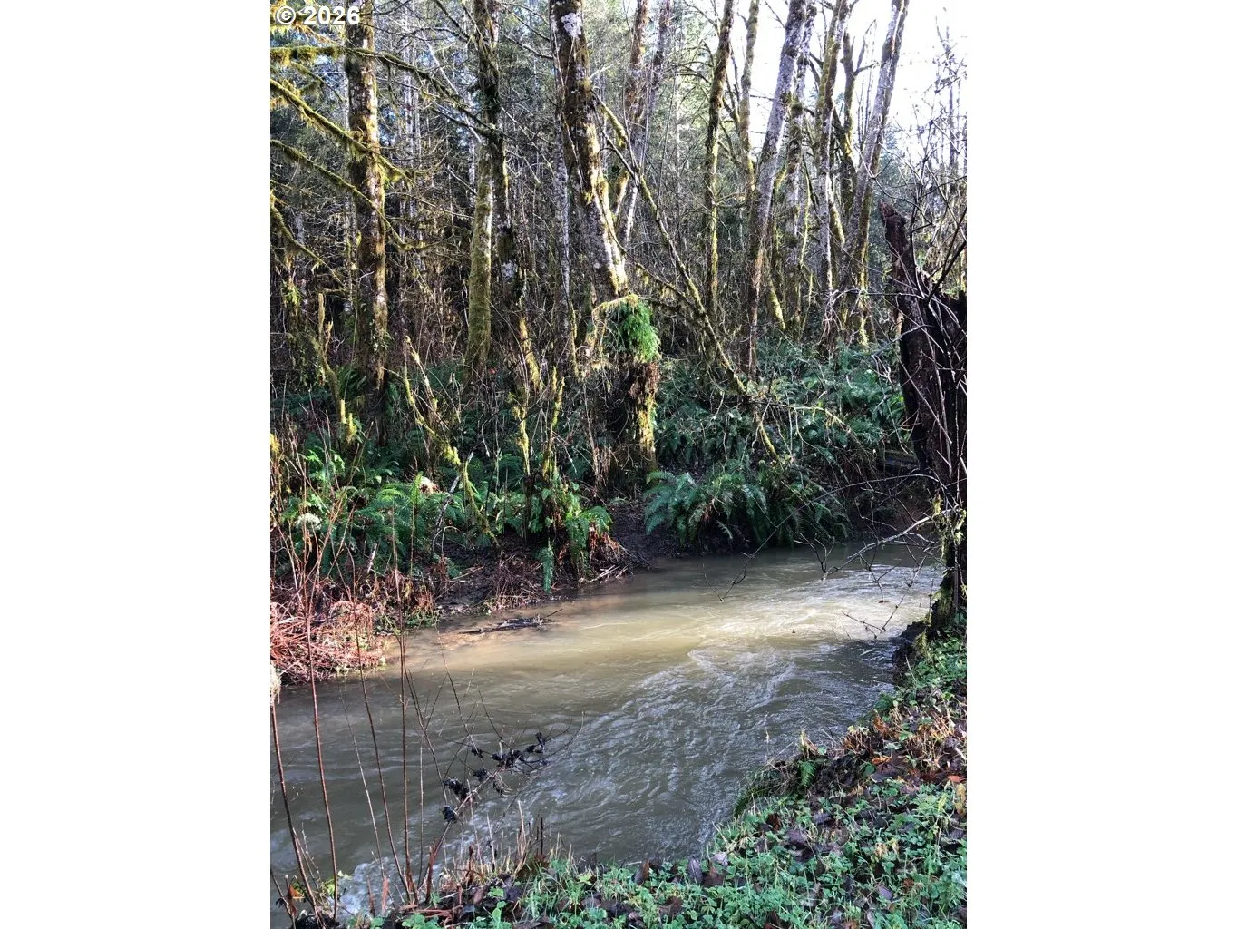 Creek