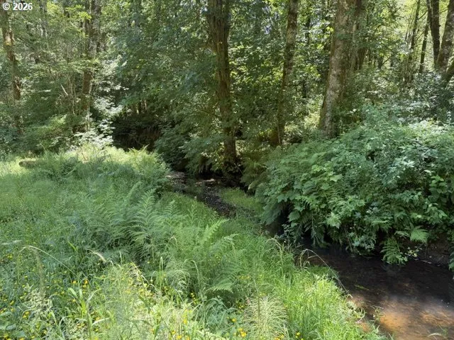 Creek