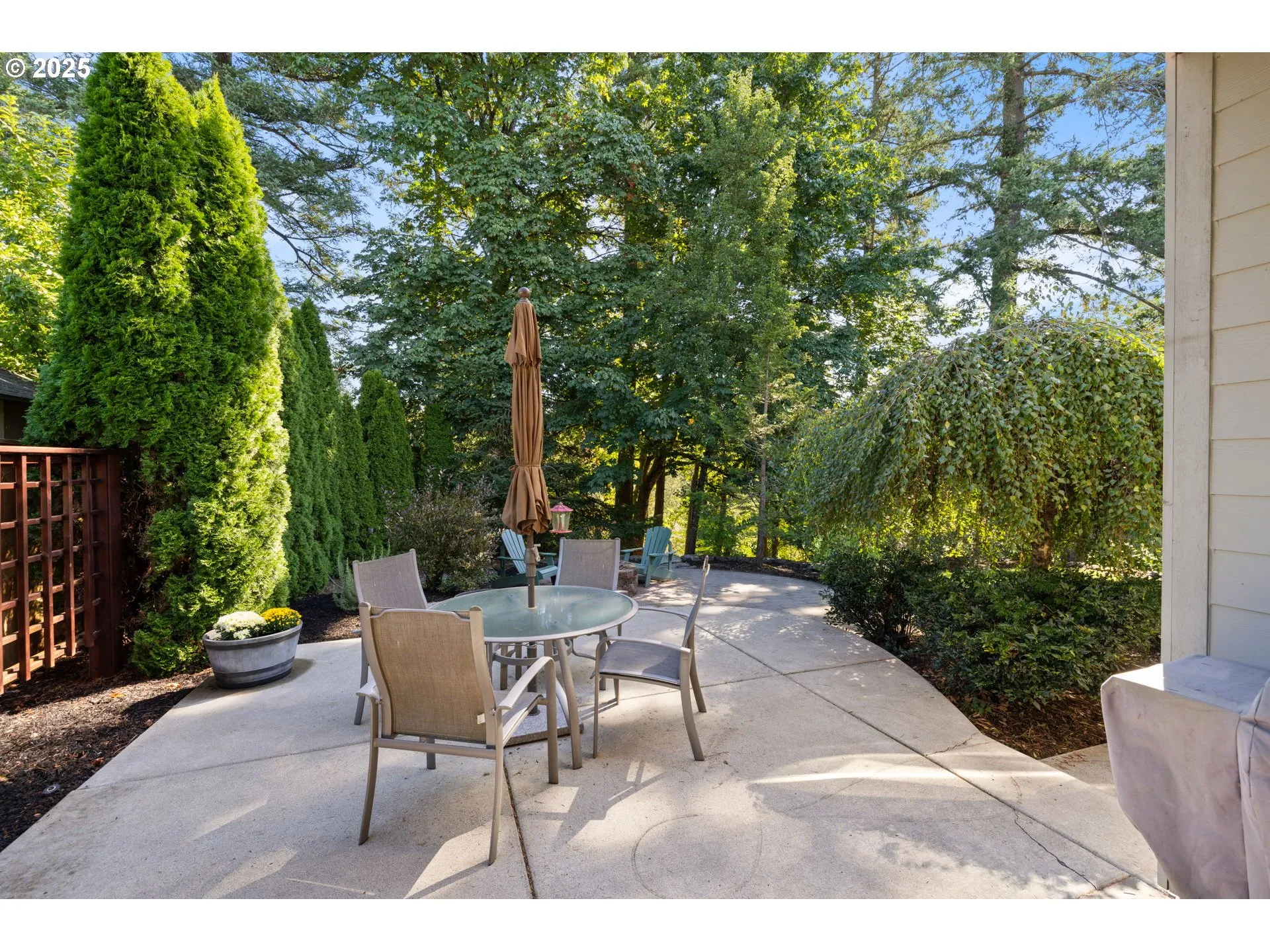 Backyard-View From