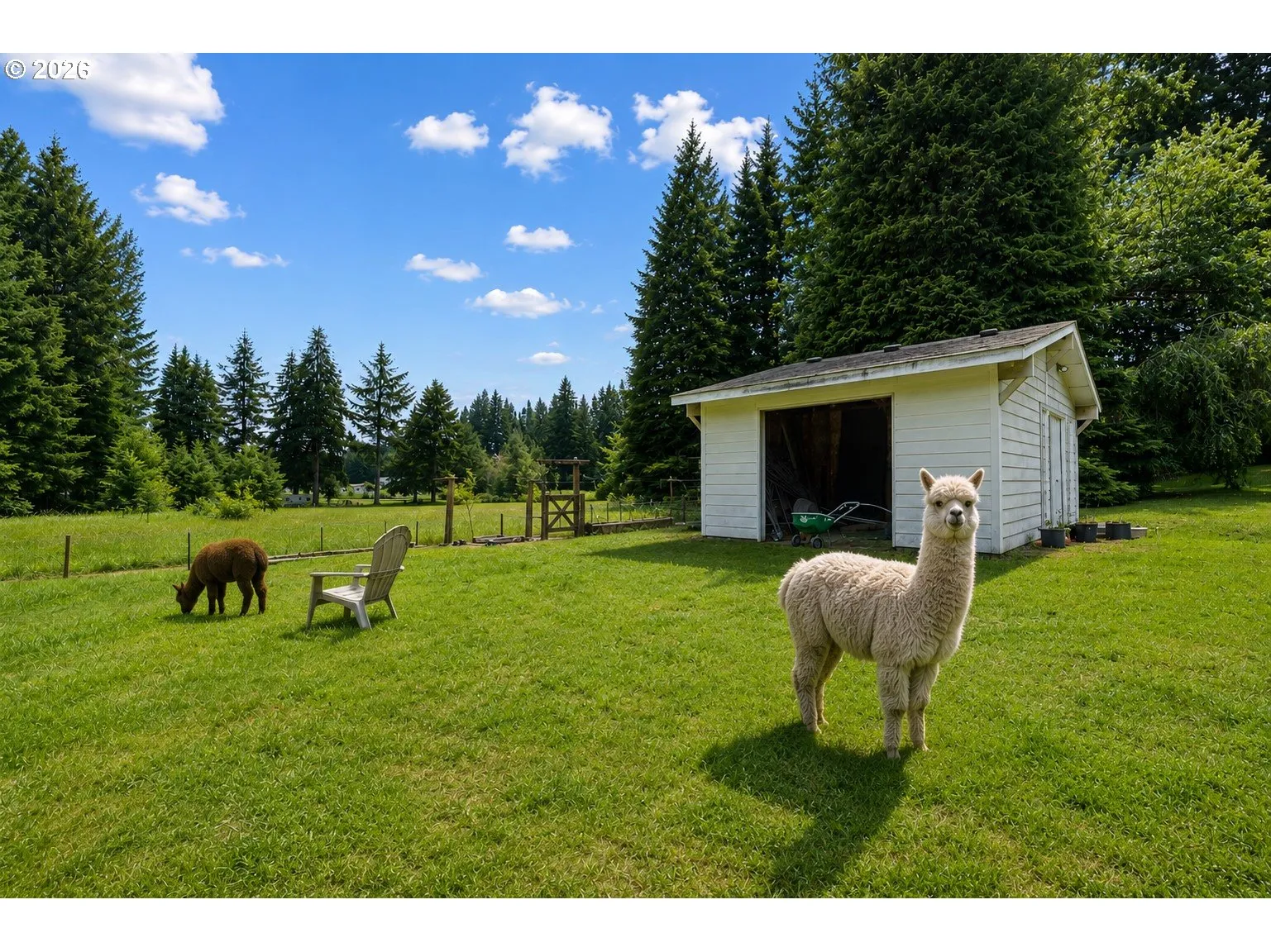 Shed