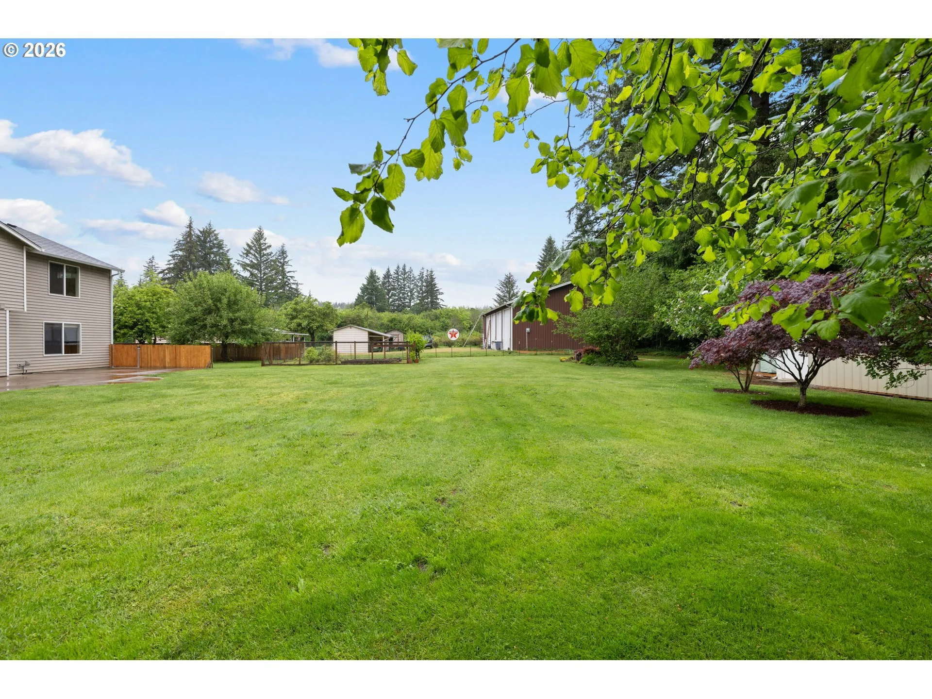 Backyard