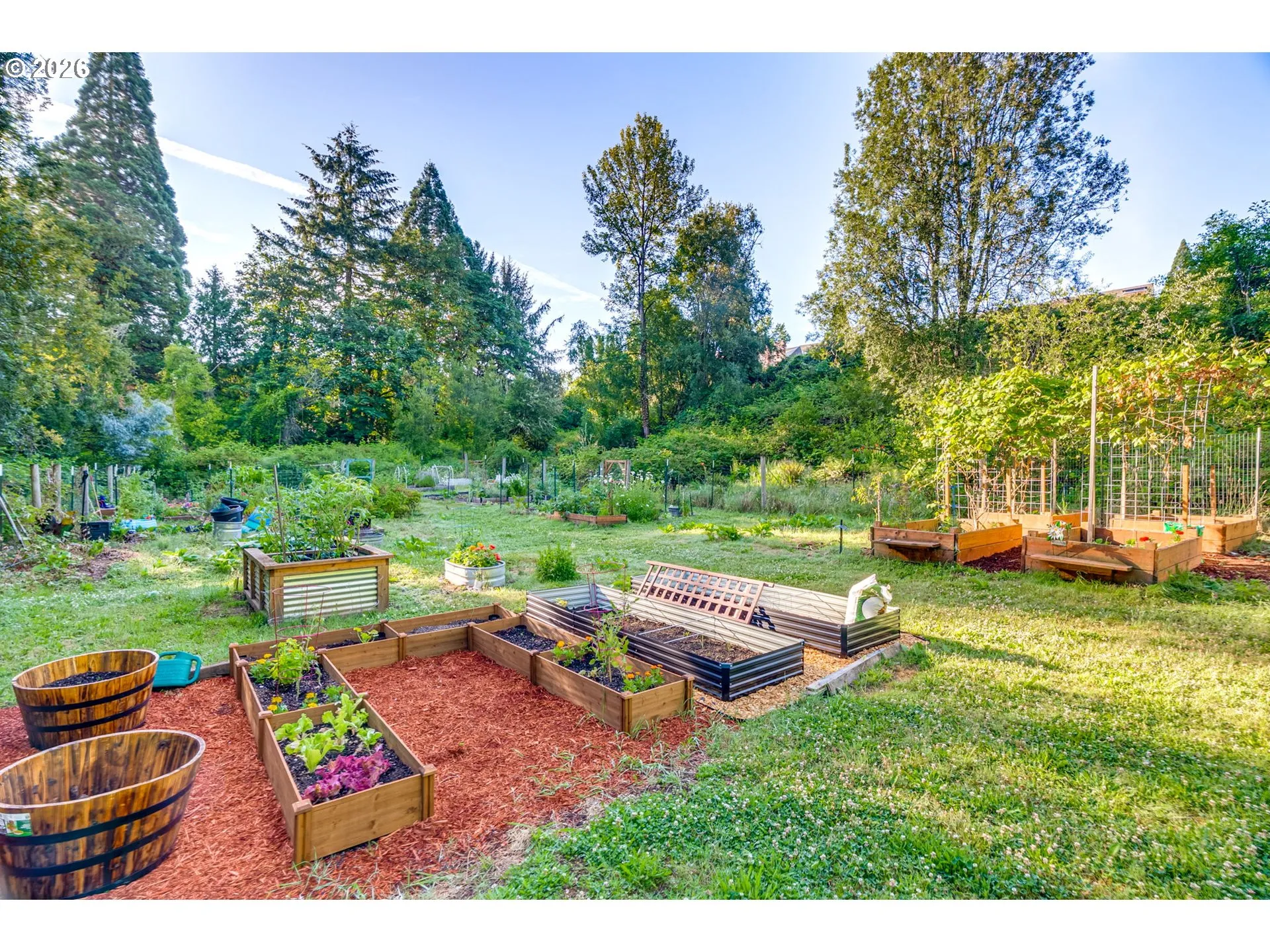Community Garden