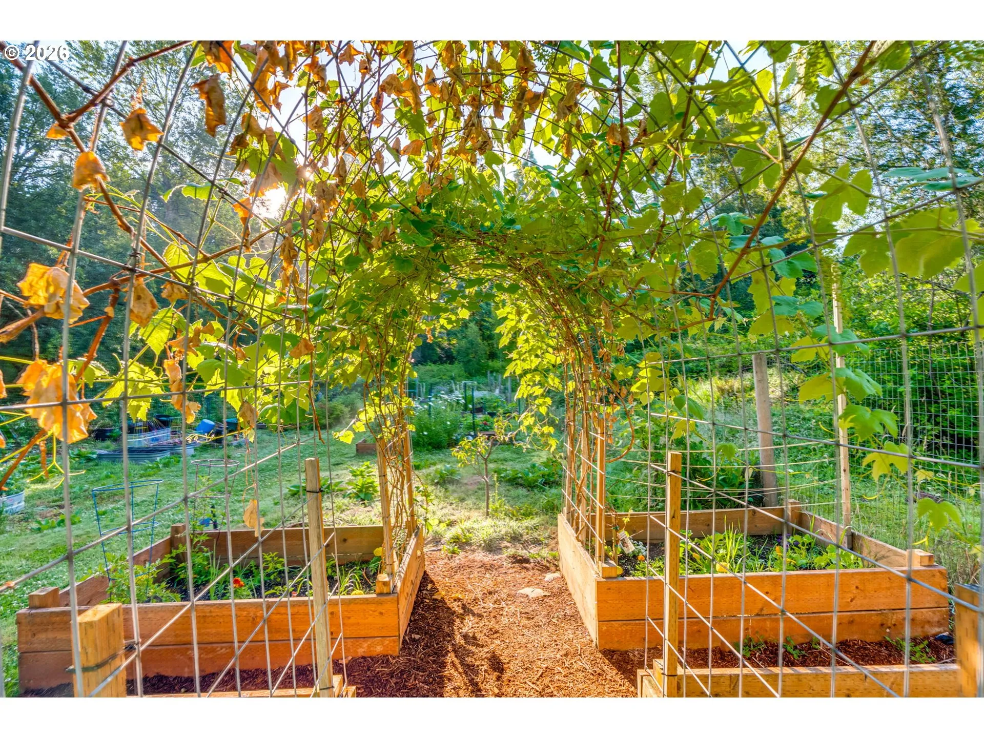 Community Garden