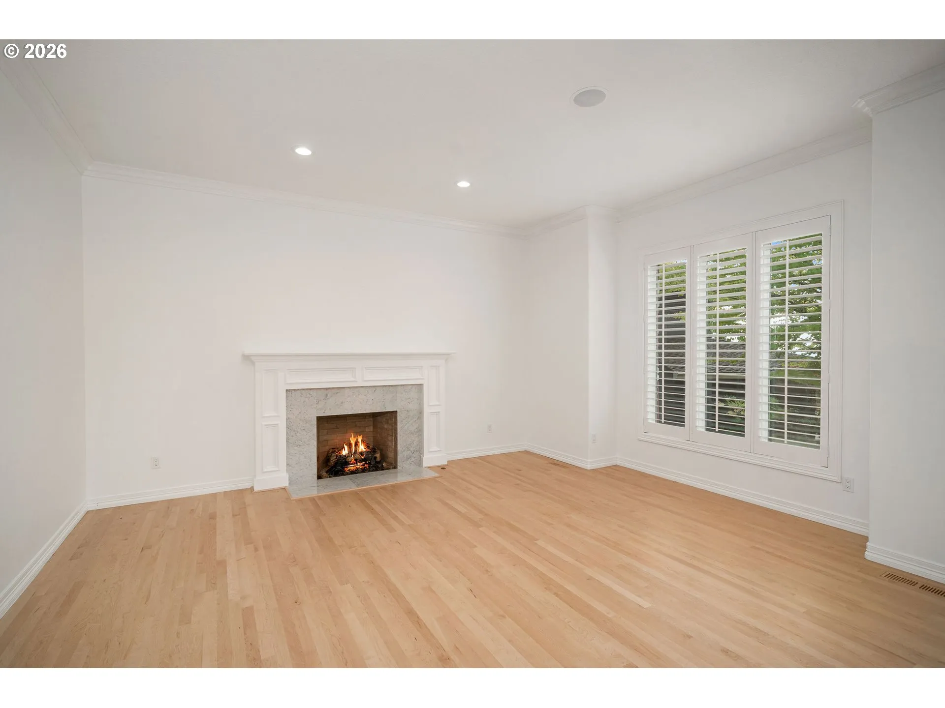 Living Room-Fireplace