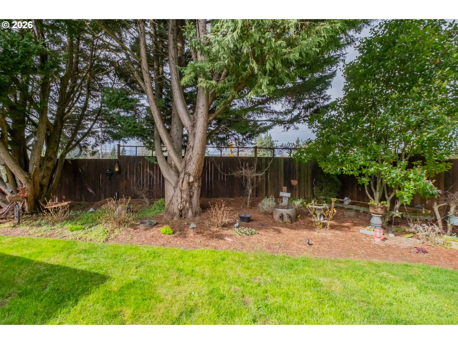 Yard-Landscaped