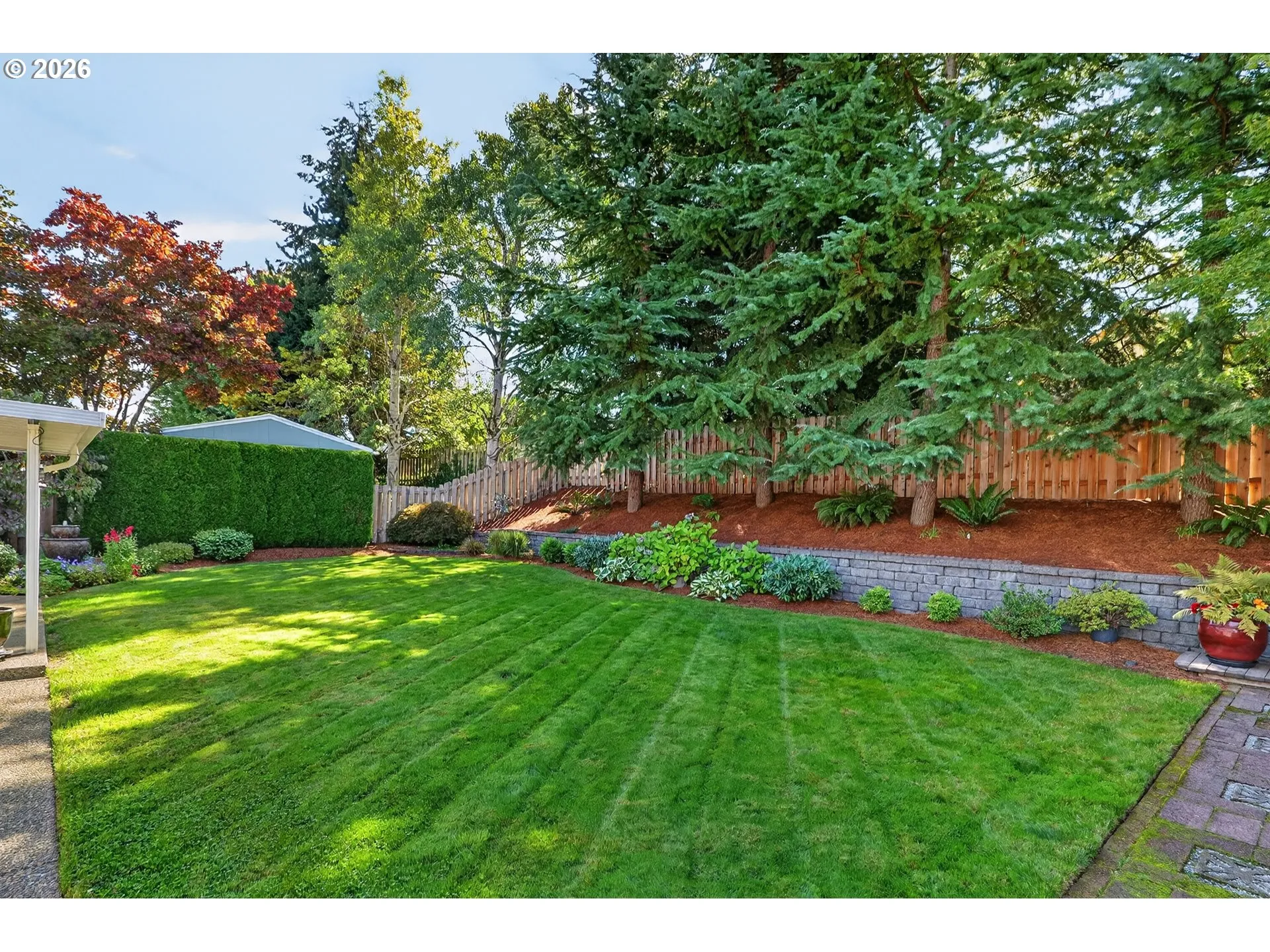 Backyard