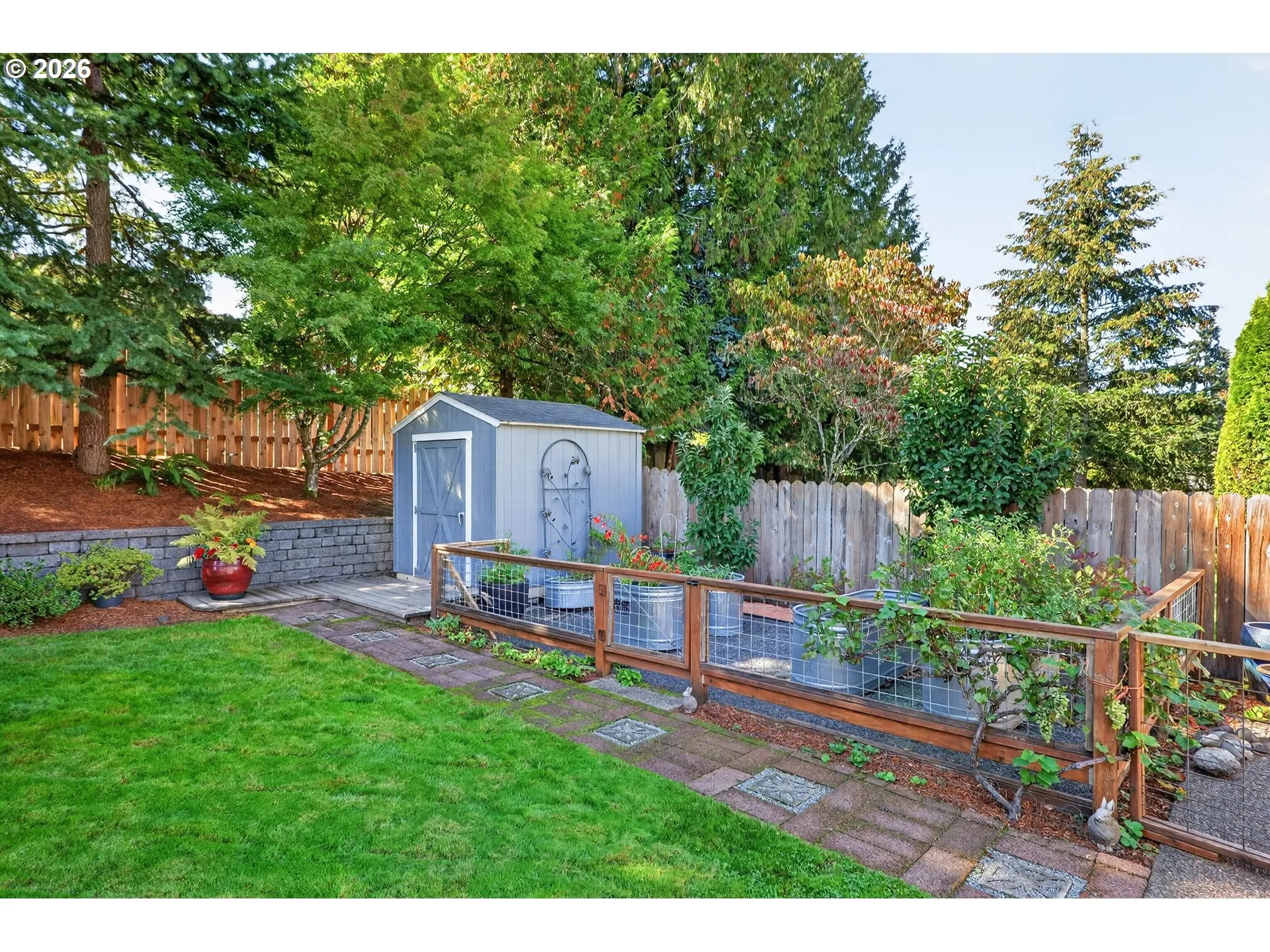 Backyard
