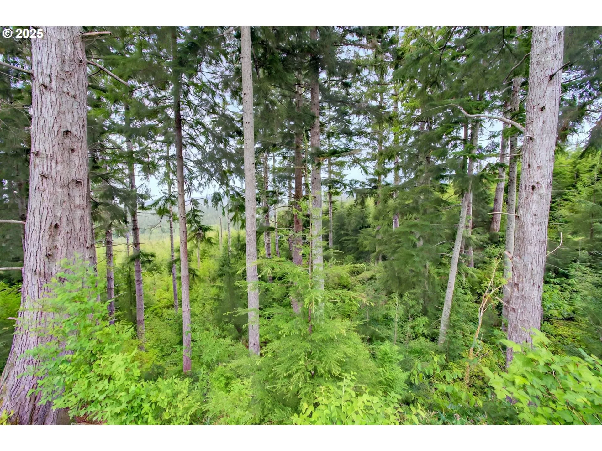 Acreage