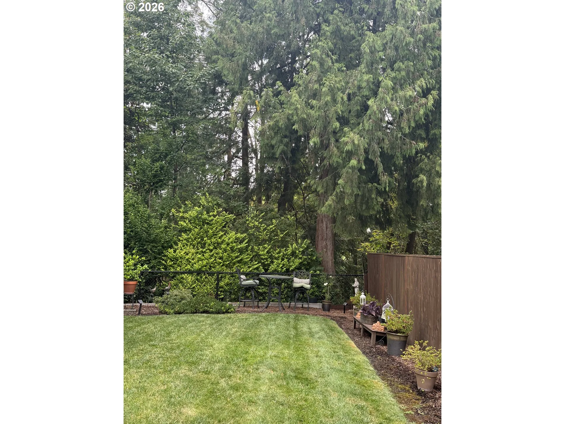 Backyard