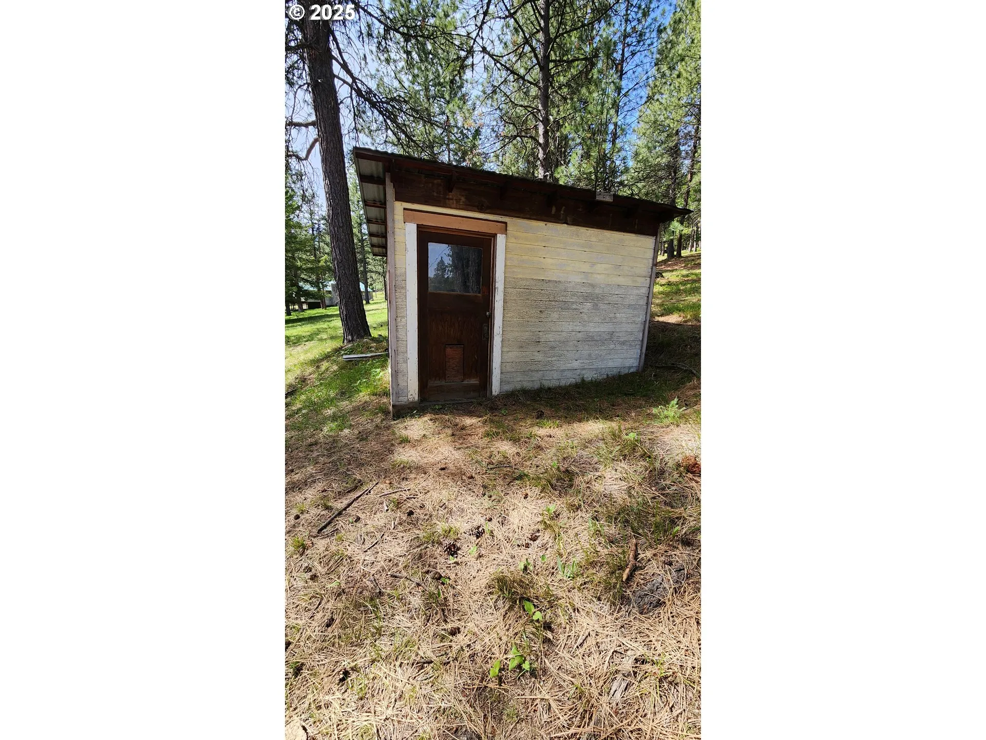 Shed-# 1