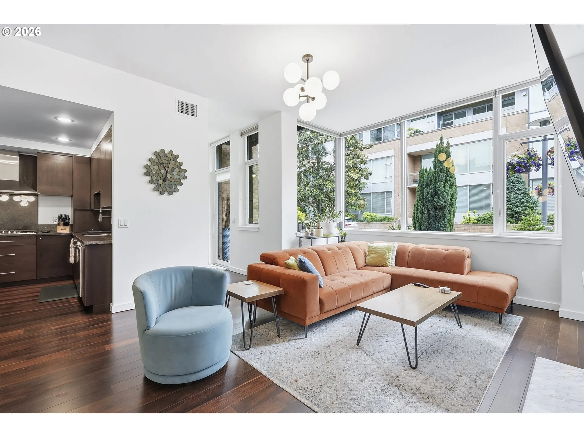 Living Room/Entrance