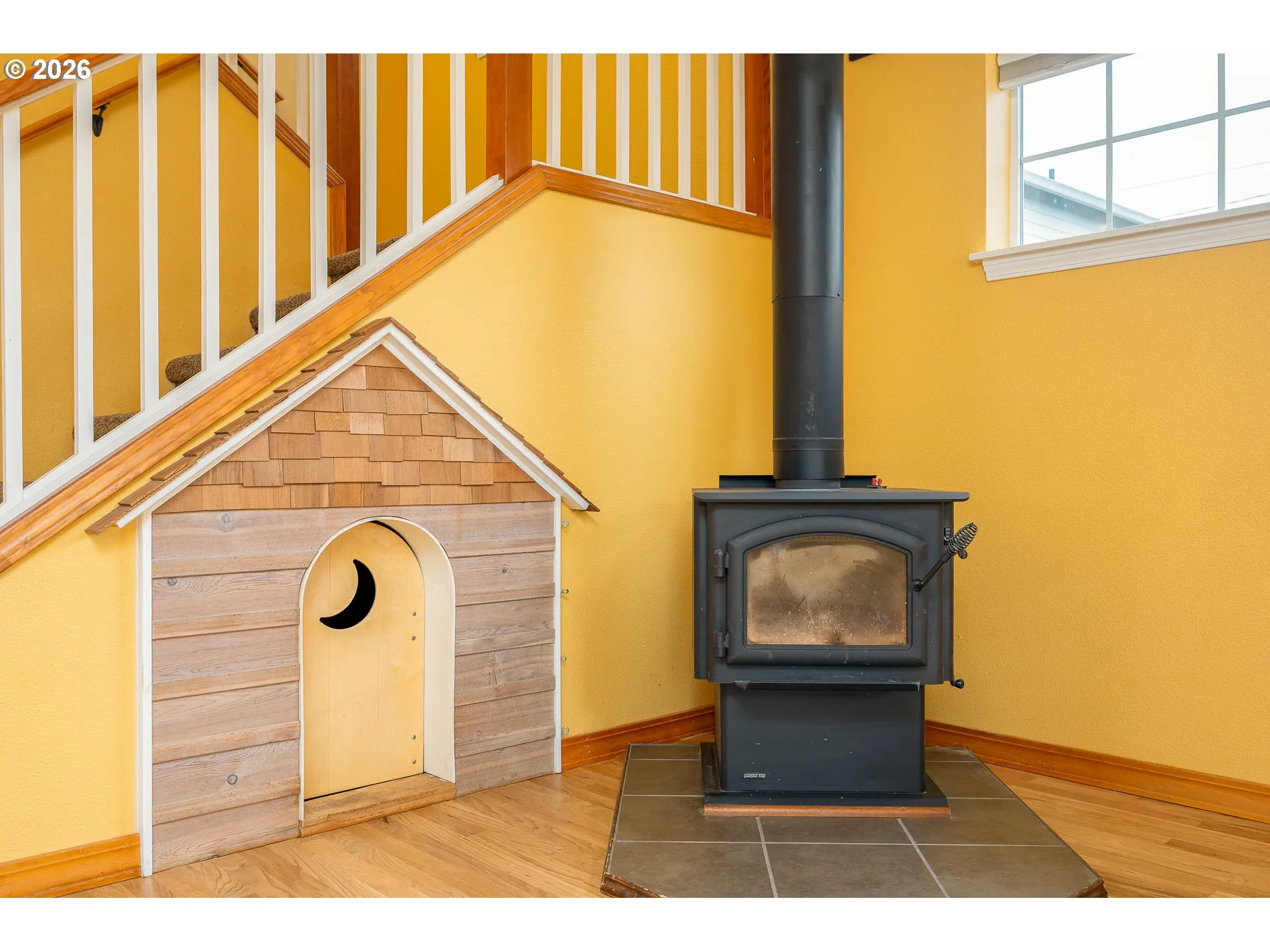 Fireplace Wood Burning Stove/Insert-Certified