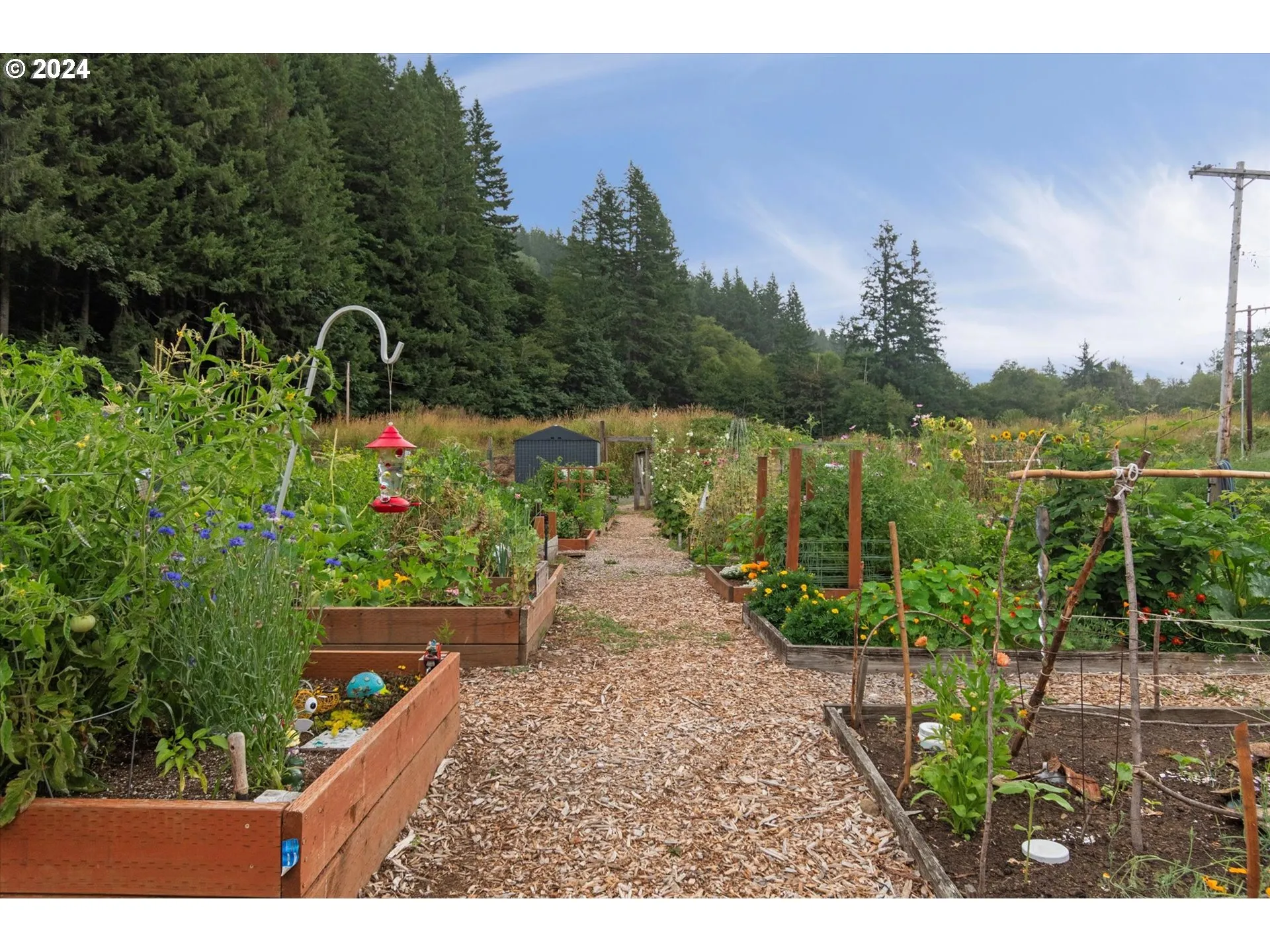 Community Garden