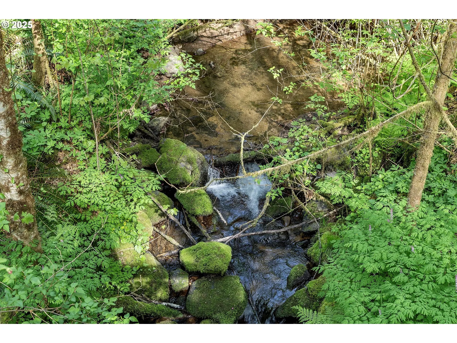 Creek