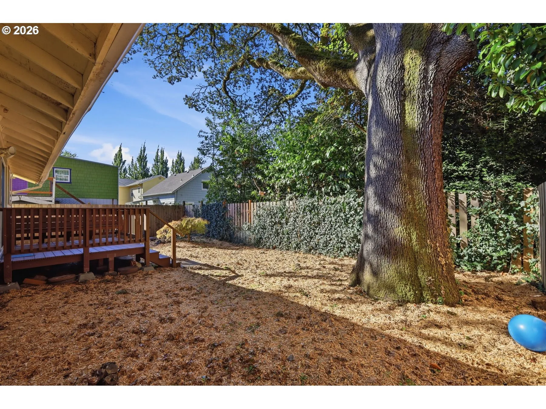 Backyard