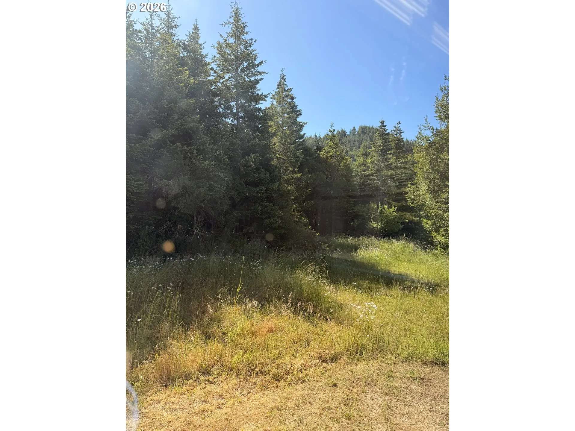 View-Wooded / Acreage