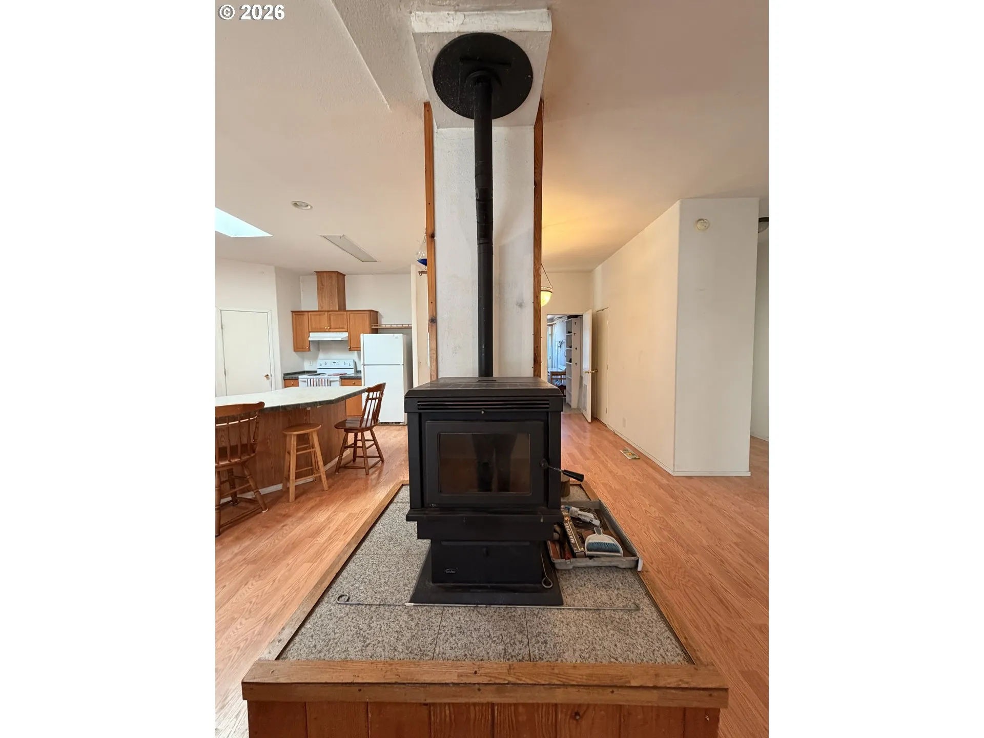Fireplace Pellet Stove