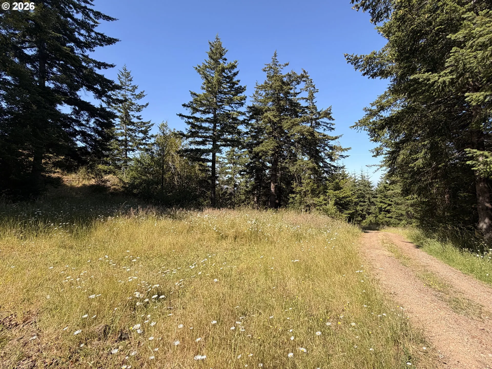 Driveway-Private