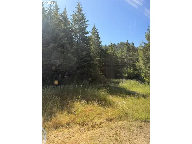 View-Wooded / Acreage
