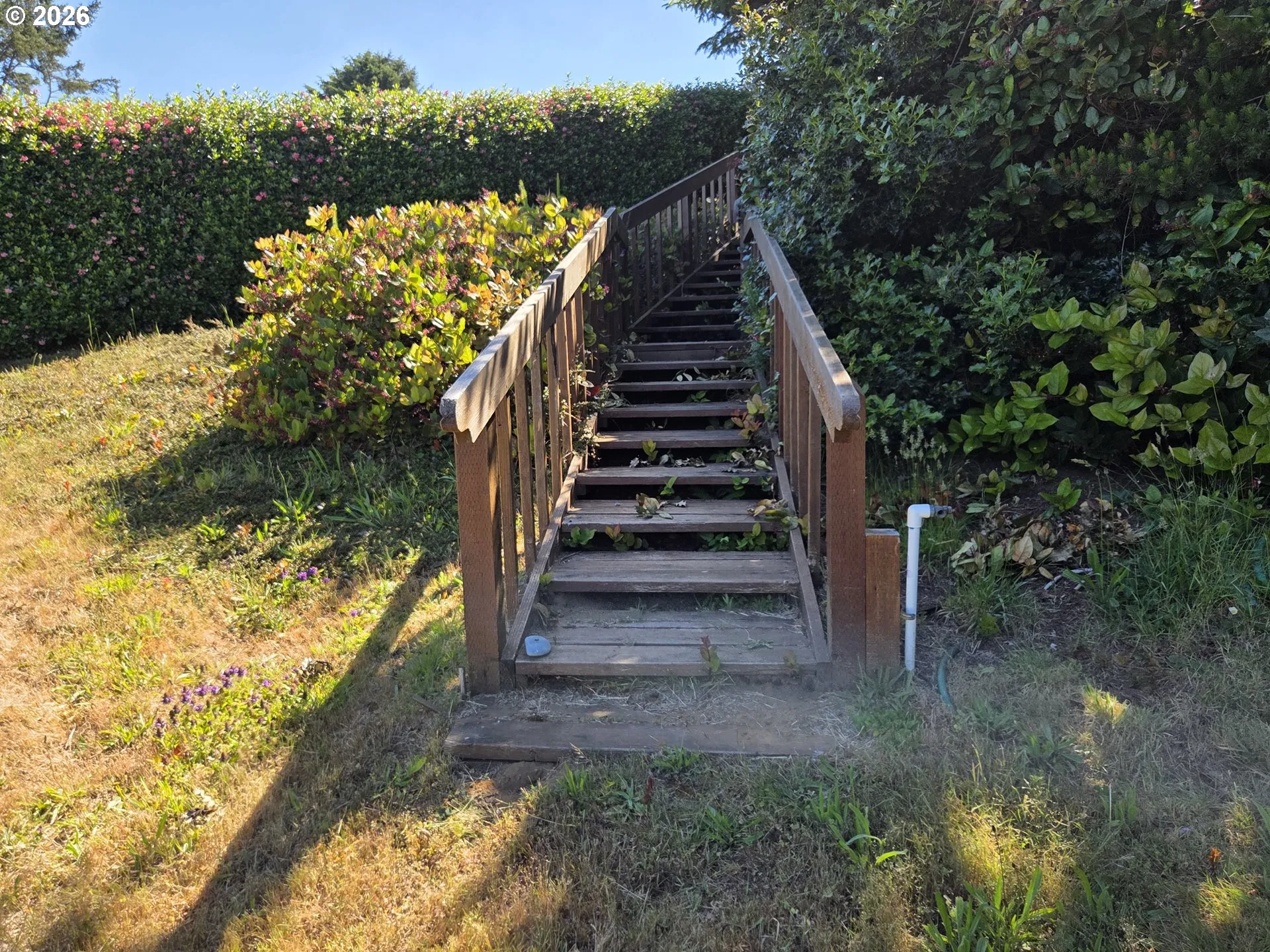 Staircase-To Lower Level
