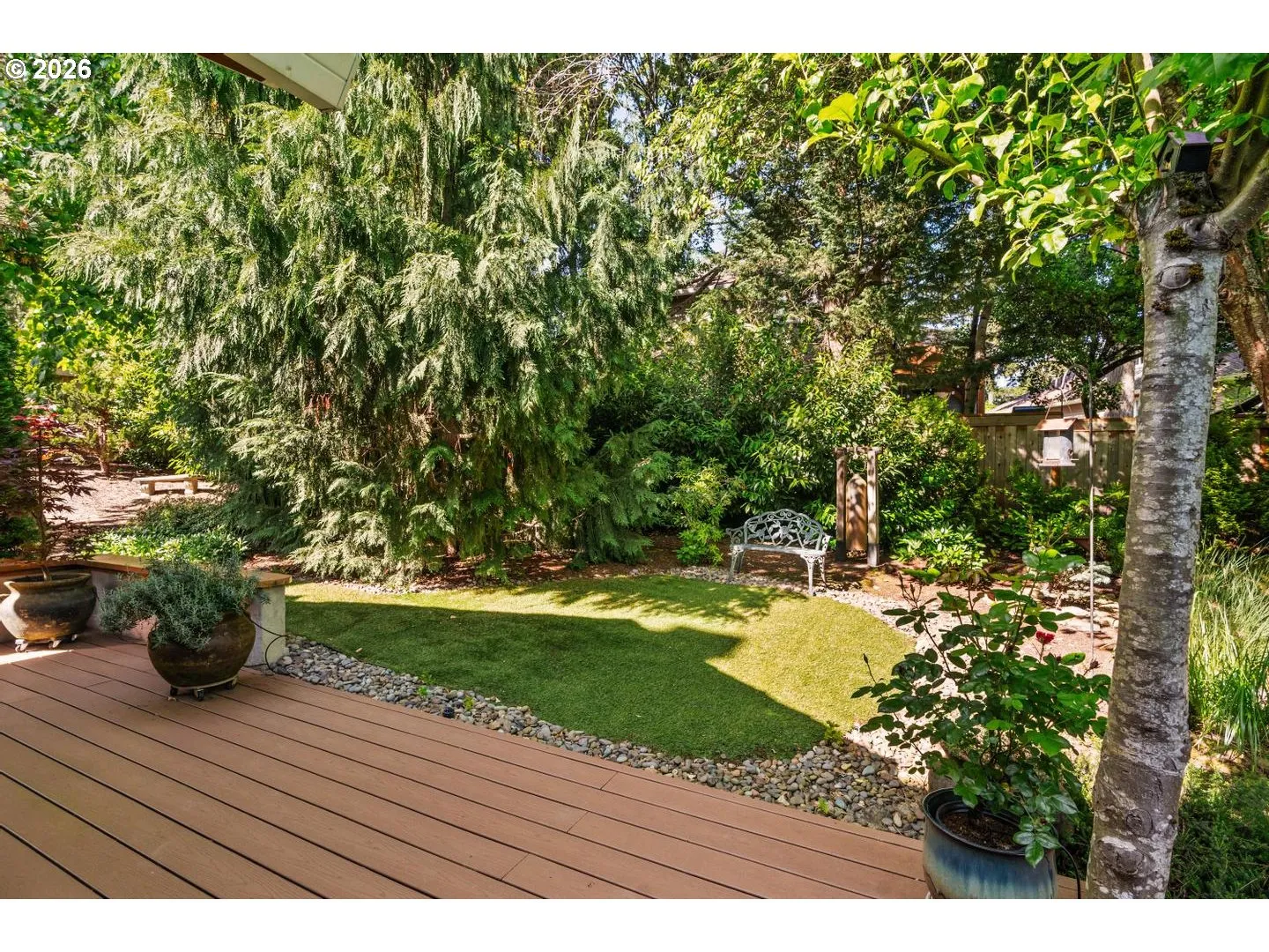 Backyard