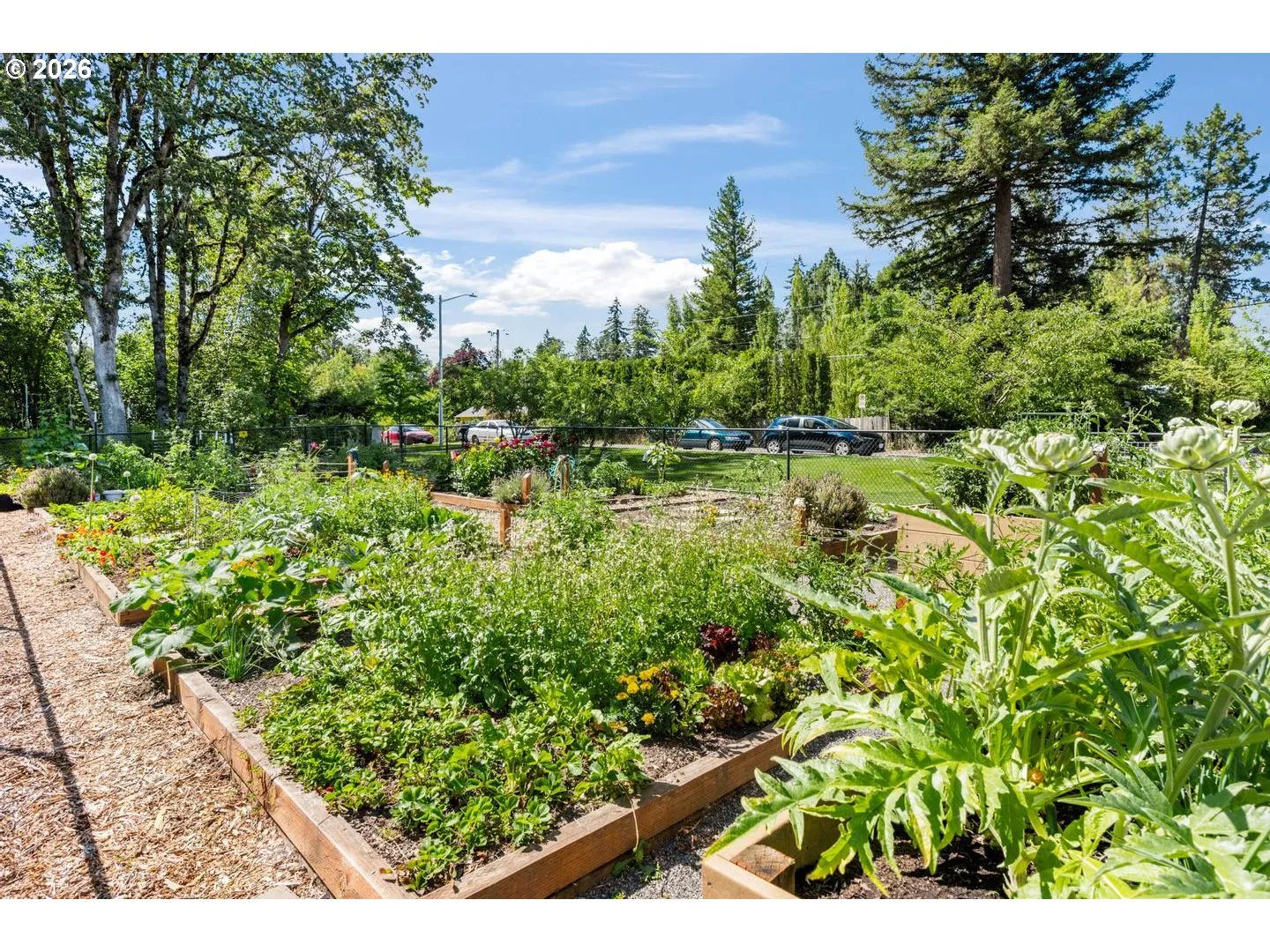 Community Garden